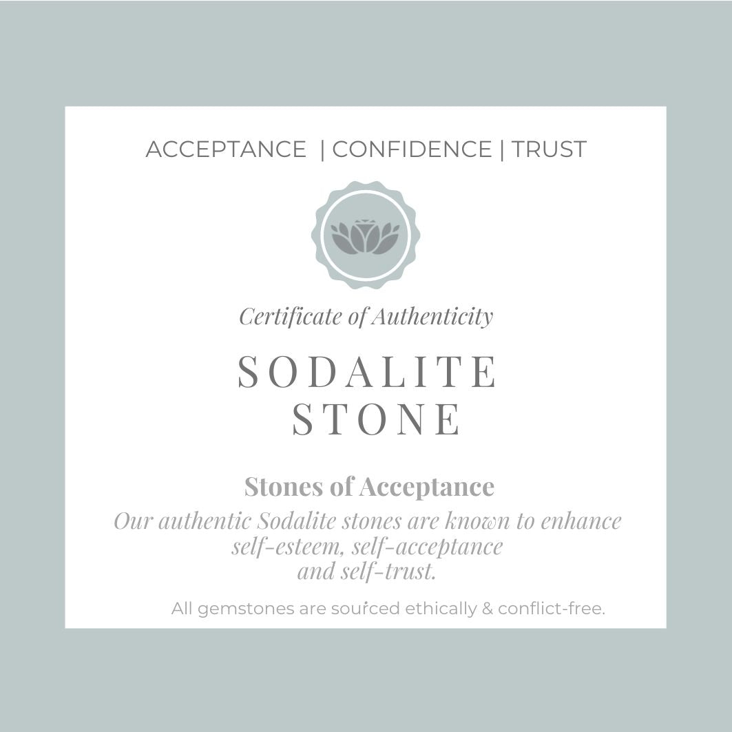 Sodalite Mens Bracelet - Robyn Real Jewels